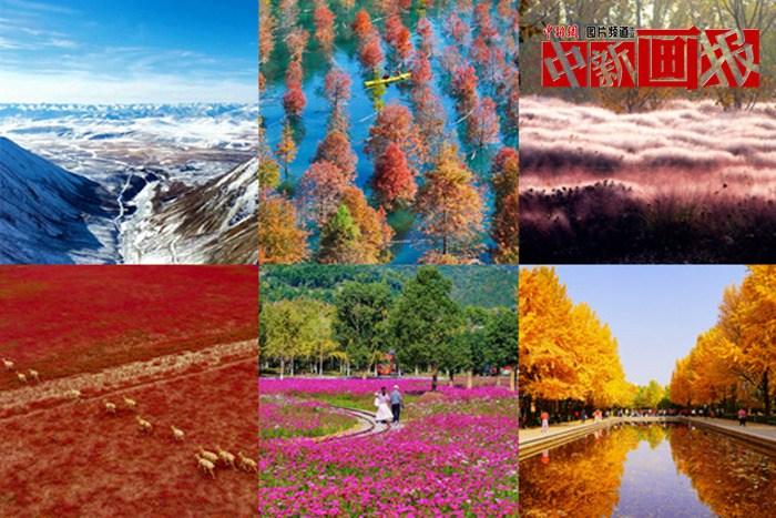 【圖刊】初冬至 大自然多彩冬衣“上新”啦！