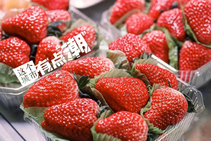 丹東：這一口鮮甜，開(kāi)啟冬日“莓”好時(shí)光