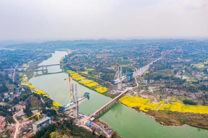 沱江河畔油菜花?！吧暇€”