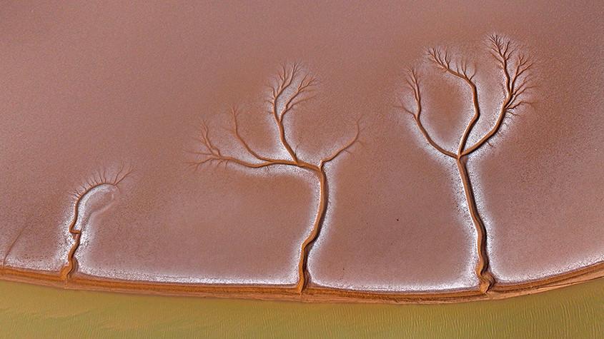 黃河入?？跐竦噩F(xiàn)“潮汐樹”景觀