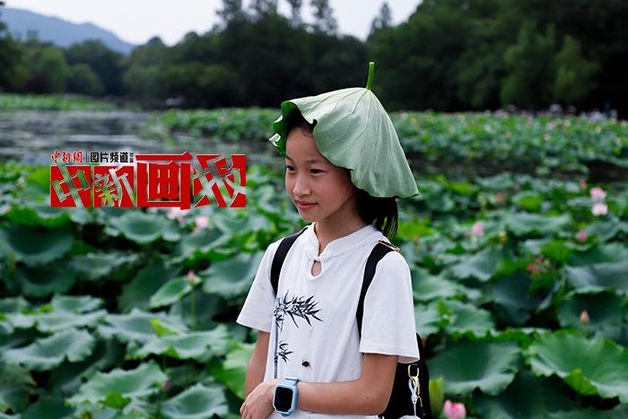 入伏有“涼”方 “花式”避暑輕松Get！