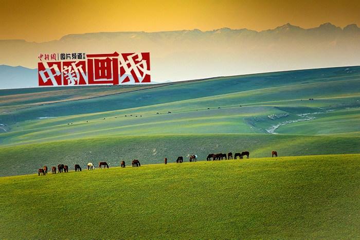 走進(jìn)“天”邊的畫卷 共赴大美新疆