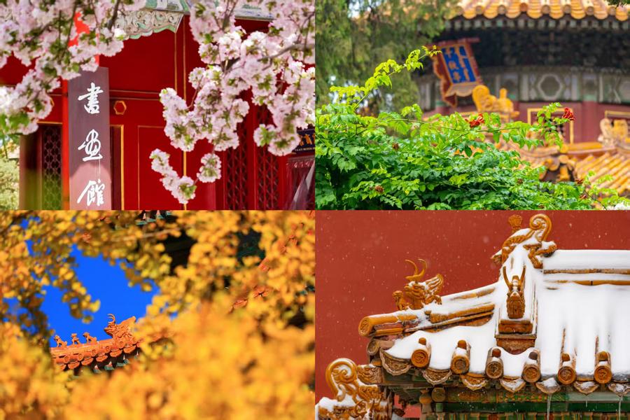 百歲快樂！一組圖領(lǐng)略故宮四季流轉(zhuǎn)之美