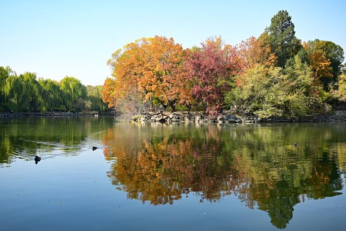 深秋的北大未名湖風(fēng)景如畫