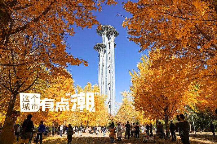 北京：切換高飽和模式 與斑斕秋色撞個滿懷
