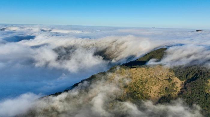 “華中屋脊”神農(nóng)架雨歇云海生