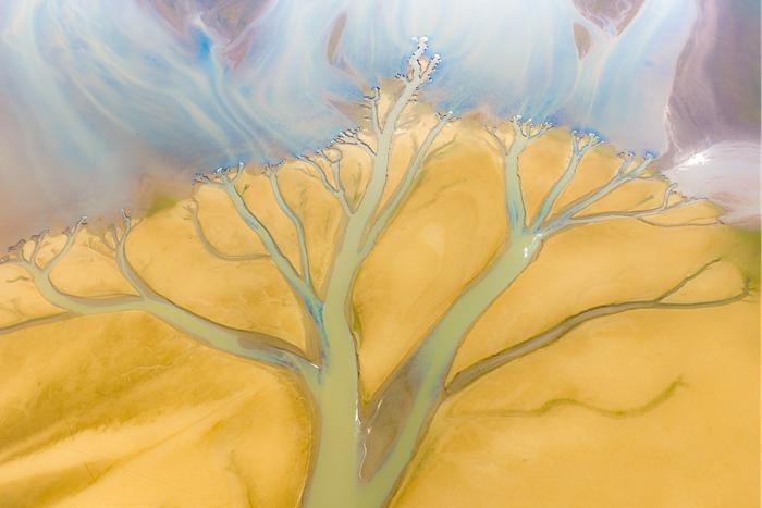 江西進賢：鄱陽湖灘涂現(xiàn)“大地之樹”景觀