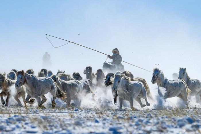 內蒙古錫林郭勒：策馬踏雪迎新春
