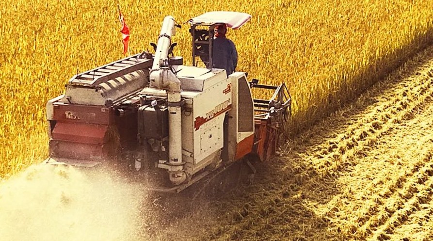 “察實(shí)情、辦實(shí)事、求實(shí)效”，這十句話，振奮人心！