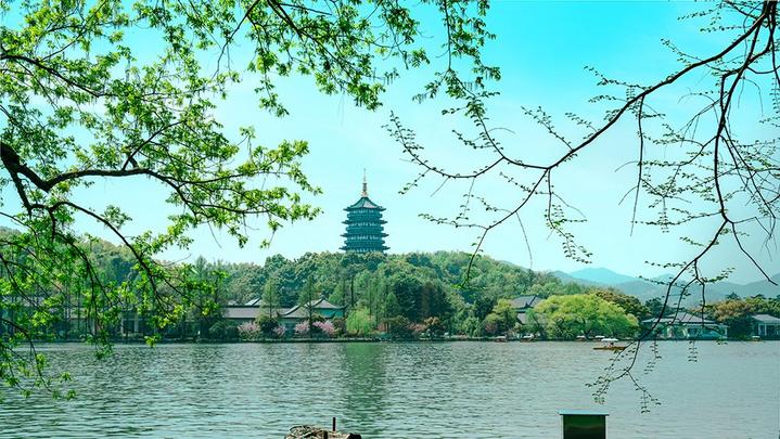 江山如此多嬌 | 西湖美景，八月天吶