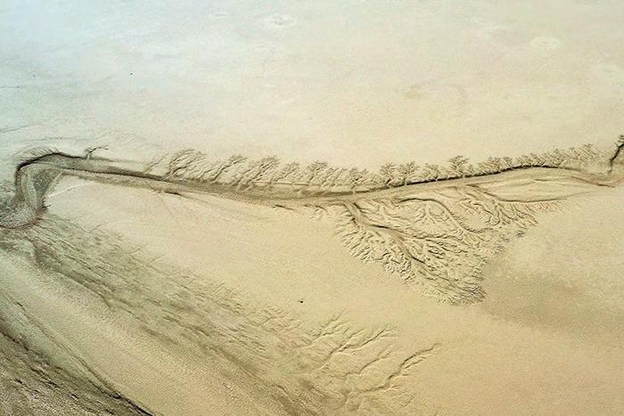 內(nèi)蒙古戈壁上現(xiàn)浮雕版“胡楊樹(shù)”