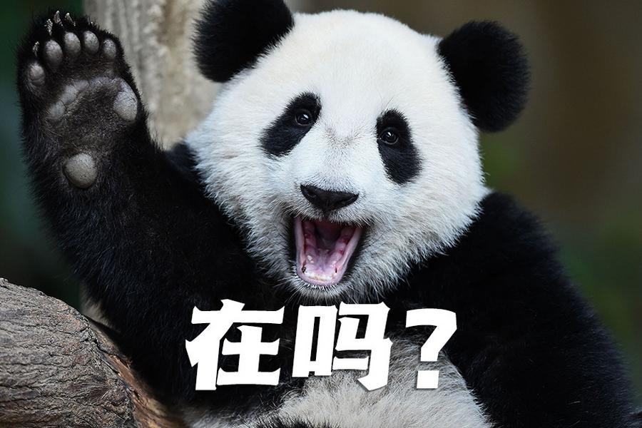 【世界微笑日特刊】嘿嘿，今天你笑了嗎？